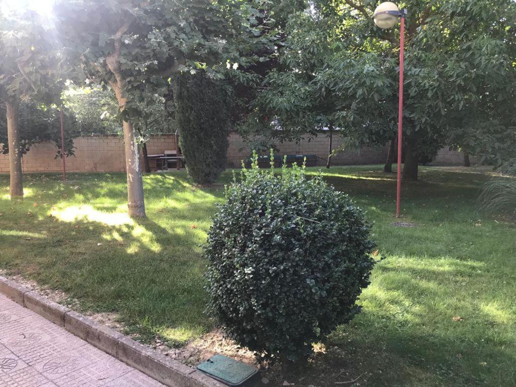 Burgo Residencia Hospital Del Reyホステル エクステリア 写真