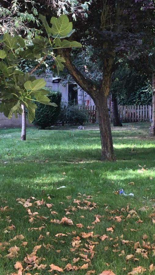 Burgo Residencia Hospital Del Reyホステル エクステリア 写真